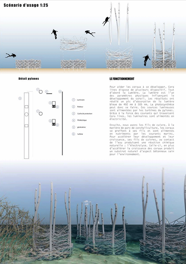 Deuxième planche