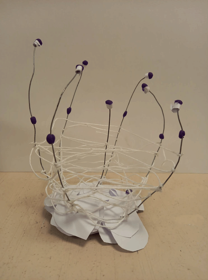 Maquette B